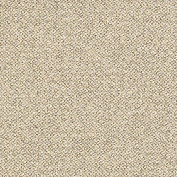 D3272 by Charlotte Designer Fabric Old World Classics II 50% Polyester, 25% Acrylic, 25% Cotton Spain Exceeds 60,000 Wyzenbeek Rubs (Heavy Duty) No Repeat 54 Inches - Swanky Fabrics -