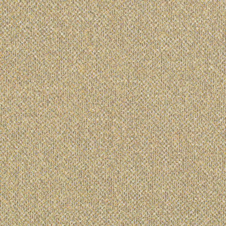 D3273 by Charlotte Designer Fabric Old World Classics II 50% Polyester, 25% Acrylic, 25% Cotton Spain Exceeds 60,000 Wyzenbeek Rubs (Heavy Duty) No Repeat 54 Inches - Swanky Fabrics -
