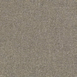 D3276 by Charlotte Designer Fabric