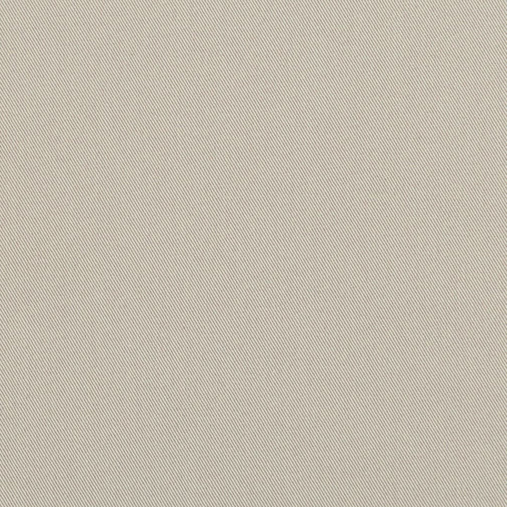 D3360 Silver by Charlotte Designer Fabric Washed Cotton 20oz, 100% Cotton Made In USA Exceeds 20,0000 Wyzenbeek Rubs (Heavy Duty) </p><p>Repeat: No Repeat 54 Inches - Swanky Fabrics -