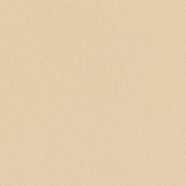 D3369 Harvest by Charlotte Designer Fabric Washed Cotton 20oz, 100% Cotton Made In USA Exceeds 20,0000 Wyzenbeek Rubs (Heavy Duty) </p><p>Repeat: No Repeat 54 Inches - Swanky Fabrics -