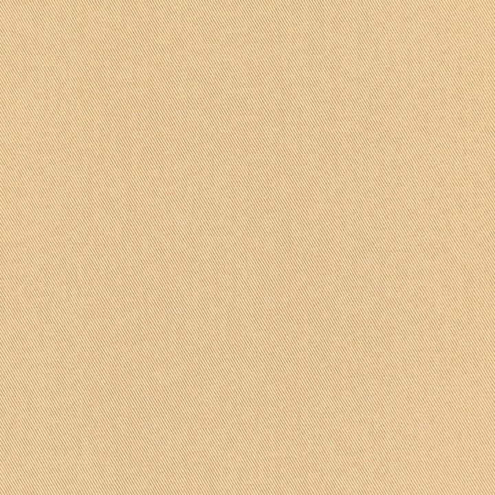 D3370 Sand by Charlotte Designer Fabric Washed Cotton 20oz, 100% Cotton Made In USA Exceeds 20,0000 Wyzenbeek Rubs (Heavy Duty) </p><p>Repeat: No Repeat 54 Inches - Swanky Fabrics -