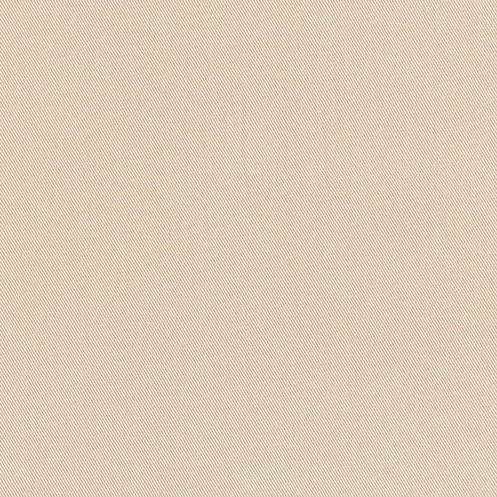 D3376 Flax by Charlotte Designer Fabric Washed Cotton 20oz, 100% Cotton Made In USA Exceeds 20,0000 Wyzenbeek Rubs (Heavy Duty) </p><p>Repeat: No Repeat 54 Inches - Swanky Fabrics -