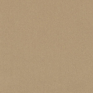D3380 Putty by Charlotte Designer Fabric