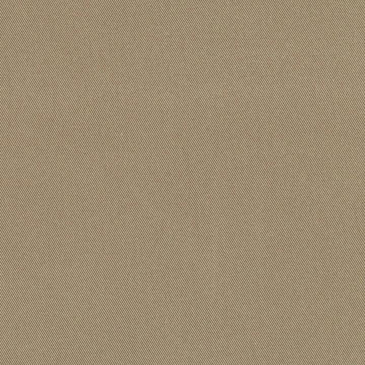 D3381 Clay by Charlotte Designer Fabric Washed Cotton 20oz, 100% Cotton Made In USA Exceeds 20,0000 Wyzenbeek Rubs (Heavy Duty) </p><p>Repeat: No Repeat 54 Inches - Swanky Fabrics -