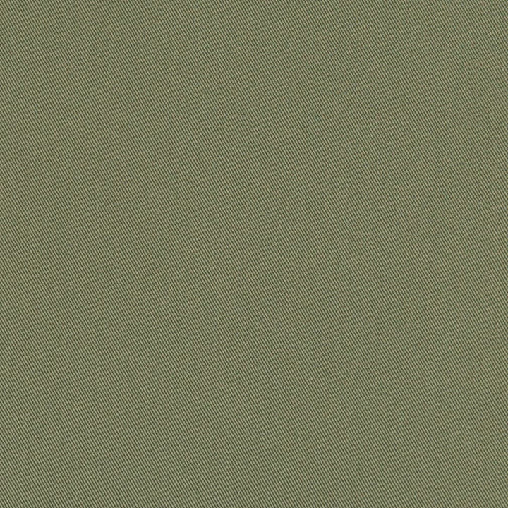D3383 Army by Charlotte Designer Fabric Washed Cotton 20oz, 100% Cotton Made In USA Exceeds 20,0000 Wyzenbeek Rubs (Heavy Duty) </p><p>Repeat: No Repeat 54 Inches - Swanky Fabrics -