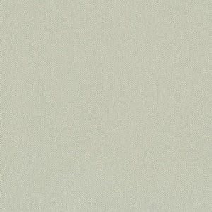 D3385 Mint by Charlotte Designer Fabric