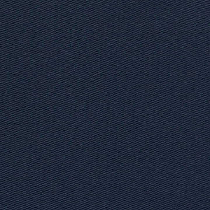 D3395 Oxford by Charlotte Designer Fabric Washed Cotton 20oz, 100% Cotton Made In USA Exceeds 20,0000 Wyzenbeek Rubs (Heavy Duty) </p><p>Repeat: No Repeat 54 Inches - Swanky Fabrics -