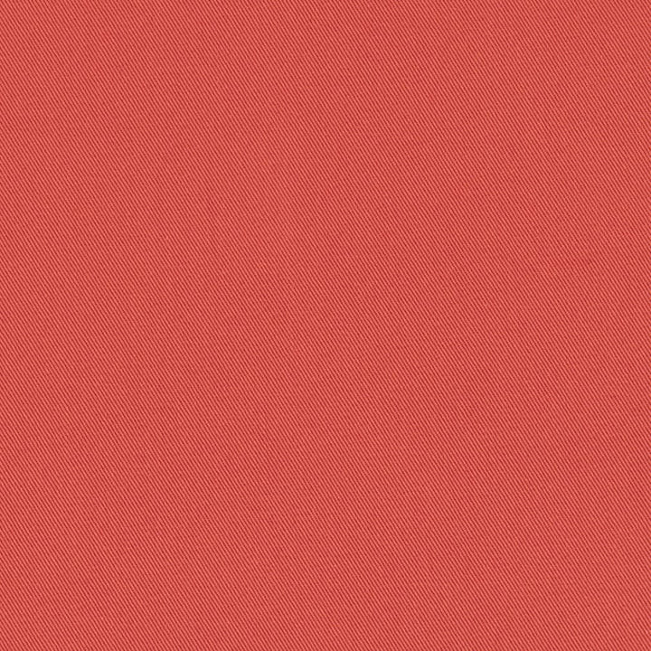 D3402 Coral by Charlotte Designer Fabric Washed Cotton 20oz, 100% Cotton Made In USA Exceeds 20,0000 Wyzenbeek Rubs (Heavy Duty) </p><p>Repeat: No Repeat 54 Inches - Swanky Fabrics -