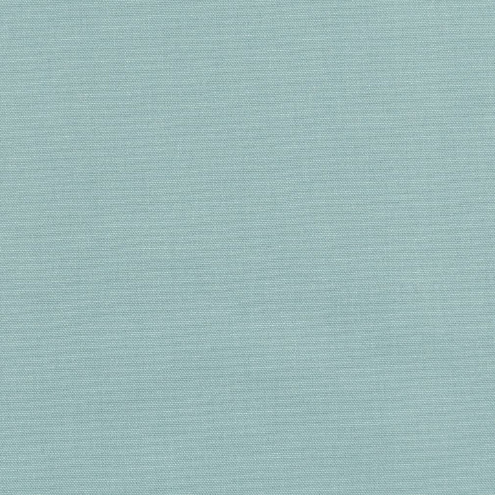 D3413 Sea by Charlotte Designer Fabric Washed Cotton 16oz, 100% Cotton Made In USA Exceeds 20,0000 Wyzenbeek Rubs (Heavy Duty) </p><p>Repeat: No Repeat 54 Inches - Swanky Fabrics -