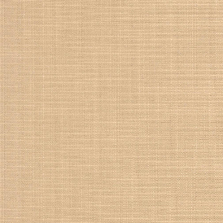 D3424 by Charlotte Designer Fabric Cabana 100% Solution Dyed Acrylic Asia Exceeds 120,000 Wyzenbeek Rubs (Heavy Duty) No Repeat 54 Inches - Swanky Fabrics -