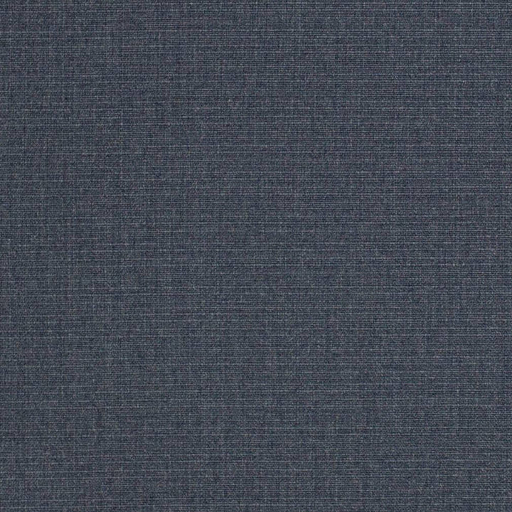 D3425 by Charlotte Designer Fabric Cabana 100% Solution Dyed Acrylic Asia Exceeds 120,000 Wyzenbeek Rubs (Heavy Duty) No Repeat 54 Inches - Swanky Fabrics -