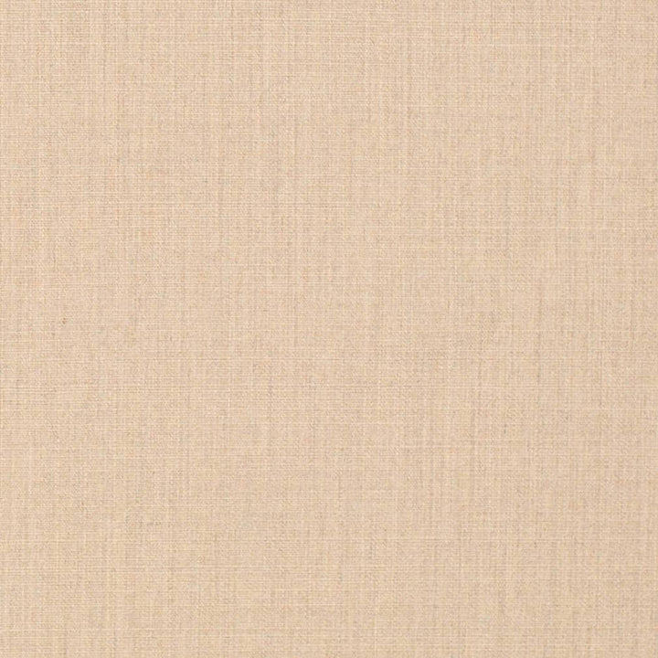 D3428 by Charlotte Designer Fabric Cabana 100% Solution Dyed Acrylic Asia Exceeds 120,000 Wyzenbeek Rubs (Heavy Duty) No Repeat 54 Inches - Swanky Fabrics -