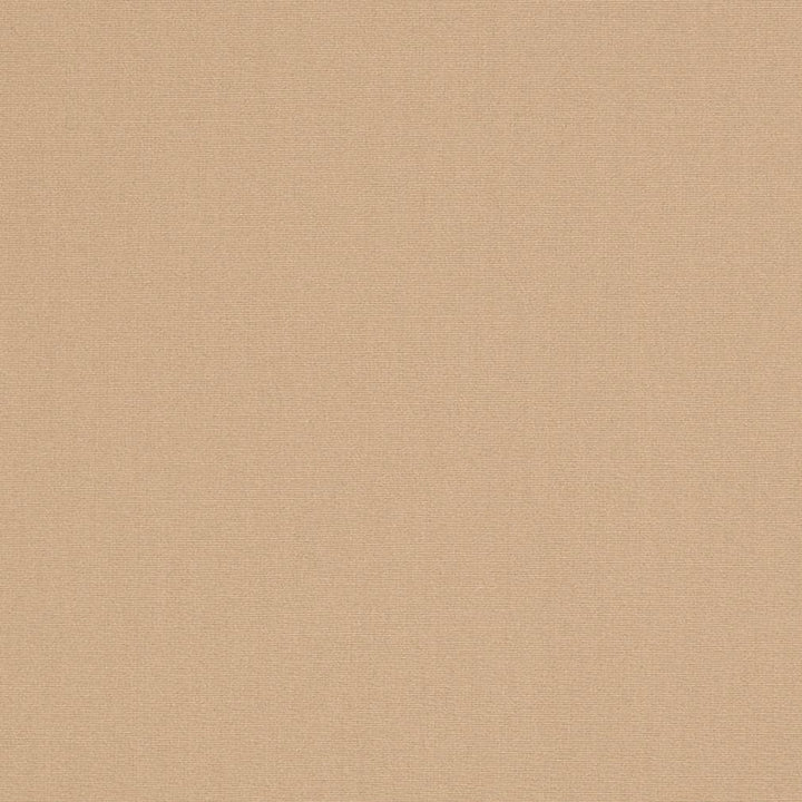 D3436 by Charlotte Designer Fabric Cabana 100% Solution Dyed Acrylic Asia Exceeds 120,000 Wyzenbeek Rubs (Heavy Duty) No Repeat 54 Inches - Swanky Fabrics -