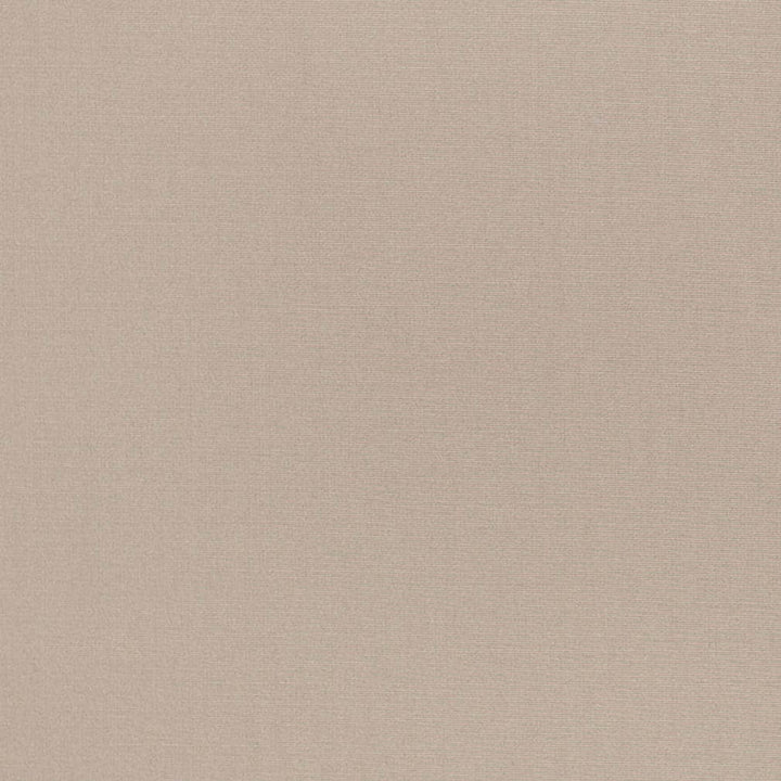 D3442 by Charlotte Designer Fabric Cabana 100% Solution Dyed Acrylic Asia Exceeds 120,000 Wyzenbeek Rubs (Heavy Duty) No Repeat 54 Inches - Swanky Fabrics -