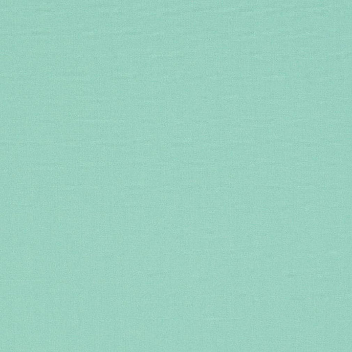 D3447 by Charlotte Designer Fabric Cabana 100% Solution Dyed Acrylic Asia Exceeds 120,000 Wyzenbeek Rubs (Heavy Duty) No Repeat 54 Inches - Swanky Fabrics -