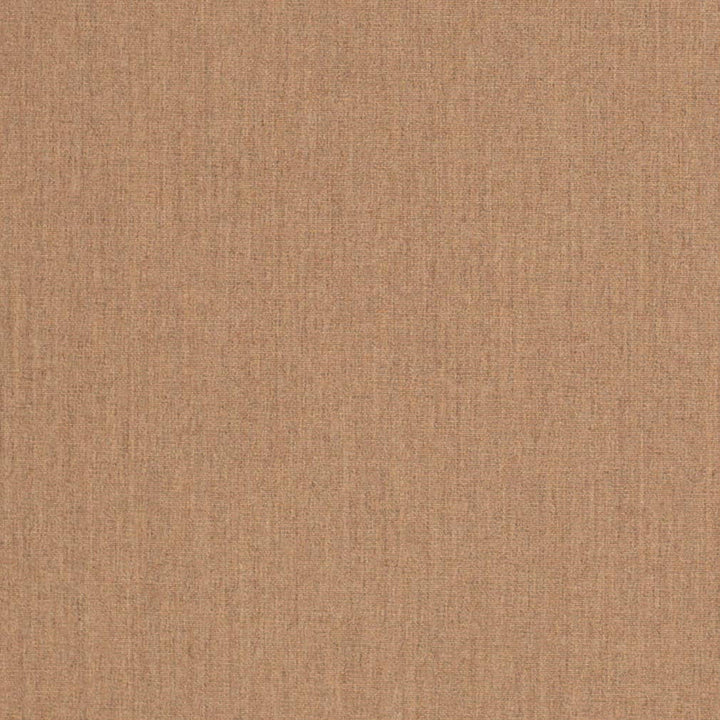 D3449 by Charlotte Designer Fabric Cabana 100% Solution Dyed Acrylic Asia Exceeds 120,000 Wyzenbeek Rubs (Heavy Duty) No Repeat 54 Inches - Swanky Fabrics -