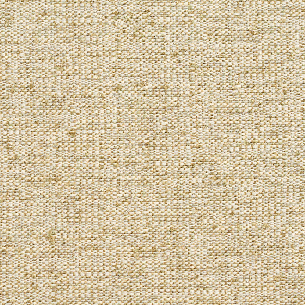 D344 Meadow by Charlotte Designer Fabric Crypton Volume 2 54% Olefin, 46% Polyester Made In USA Exceeds 60,000 Wyzenbeek Rubs (Heavy Duty) </p><p>Repeat: 54 Inches - Swanky Fabrics -