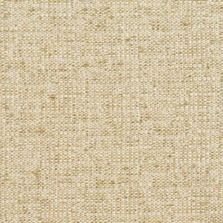 D344 Meadow by Charlotte Designer Fabric Crypton Volume 2 54% Olefin, 46% Polyester Made In USA Exceeds 60,000 Wyzenbeek Rubs (Heavy Duty) </p><p>Repeat: 54 Inches - Swanky Fabrics -
