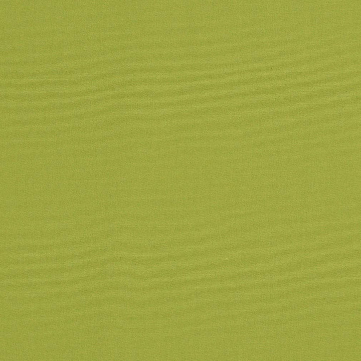 D3451 by Charlotte Designer Fabric Cabana 100% Solution Dyed Acrylic Asia Exceeds 120,000 Wyzenbeek Rubs (Heavy Duty) No Repeat 54 Inches - Swanky Fabrics -