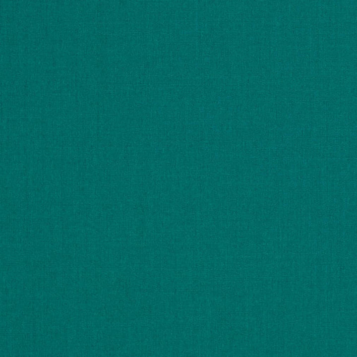 D3457 by Charlotte Designer Fabric Cabana 100% Solution Dyed Acrylic Asia Exceeds 120,000 Wyzenbeek Rubs (Heavy Duty) No Repeat 54 Inches - Swanky Fabrics -