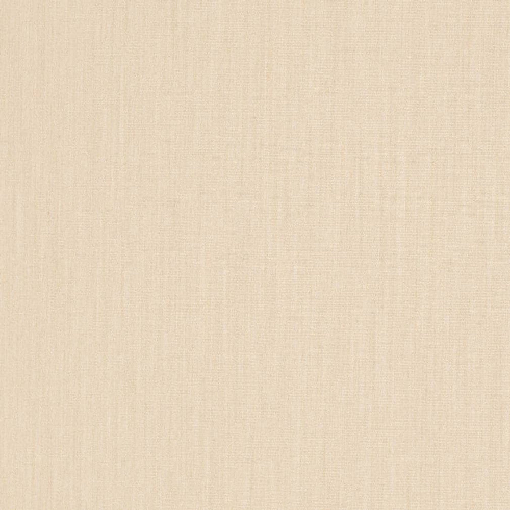 D3460 by Charlotte Designer Fabric Cabana 100% Solution Dyed Acrylic Asia Exceeds 120,000 Wyzenbeek Rubs (Heavy Duty) No Repeat 54 Inches - Swanky Fabrics -