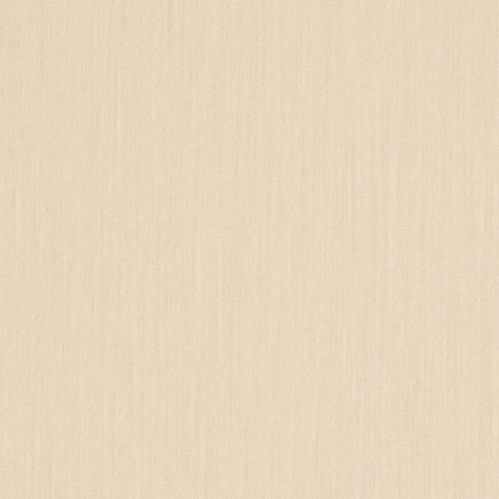 D3460 by Charlotte Designer Fabric Cabana 100% Solution Dyed Acrylic Asia Exceeds 120,000 Wyzenbeek Rubs (Heavy Duty) No Repeat 54 Inches - Swanky Fabrics -