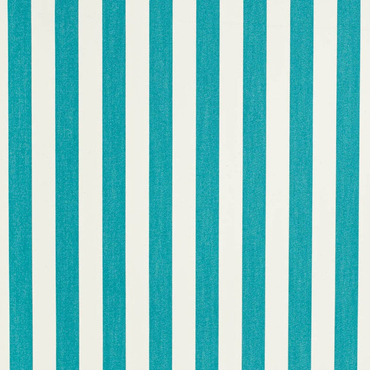 D3462 by Charlotte Designer Fabric Cabana 100% Solution Dyed Acrylic Asia Exceeds 120,000 Wyzenbeek Rubs (Heavy Duty) Horizontal 2" 54 Inches - Swanky Fabrics -