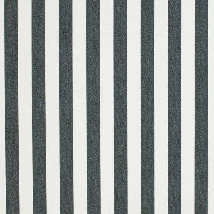 D3464 by Charlotte Designer Fabric Cabana 100% Solution Dyed Acrylic Asia Exceeds 120,000 Wyzenbeek Rubs (Heavy Duty) Horizontal 2" 54 Inches - Swanky Fabrics -