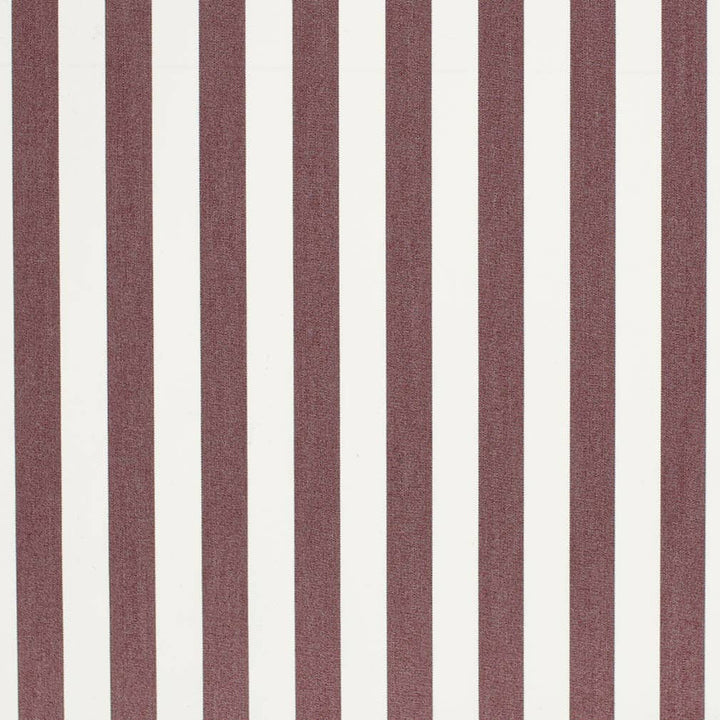 D3465 by Charlotte Designer Fabric Cabana 100% Solution Dyed Acrylic Asia Exceeds 120,000 Wyzenbeek Rubs (Heavy Duty) Horizontal 2" 54 Inches - Swanky Fabrics -