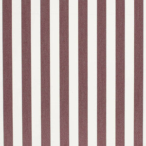 D3465 by Charlotte Designer Fabric