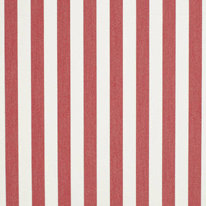 D3466 by Charlotte Designer Fabric