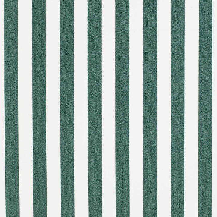 D3467 by Charlotte Designer Fabric Cabana 100% Solution Dyed Acrylic Asia Exceeds 120,000 Wyzenbeek Rubs (Heavy Duty) Horizontal 2" 54 Inches - Swanky Fabrics -