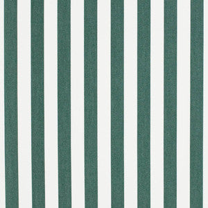 D3467 by Charlotte Designer Fabric