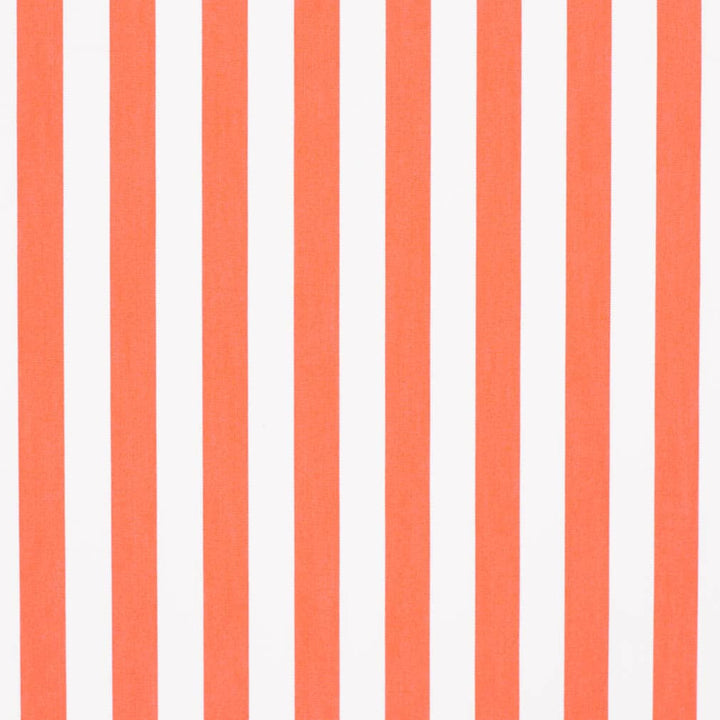 D3473 by Charlotte Designer Fabric Cabana 100% Solution Dyed Acrylic Asia Exceeds 120,000 Wyzenbeek Rubs (Heavy Duty) Horizontal 2" 54 Inches - Swanky Fabrics -