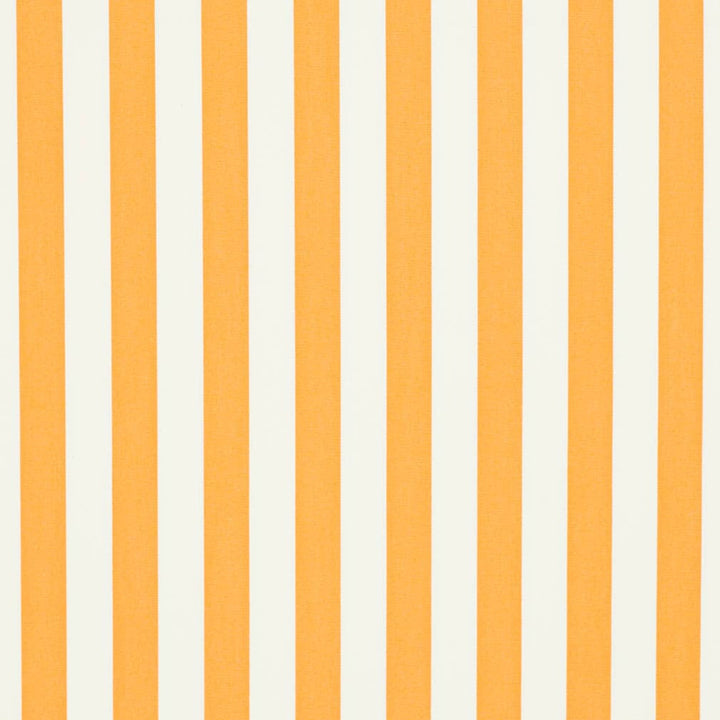 D3476 by Charlotte Designer Fabric Cabana 100% Solution Dyed Acrylic Asia Exceeds 120,000 Wyzenbeek Rubs (Heavy Duty) Horizontal 2" 54 Inches - Swanky Fabrics -