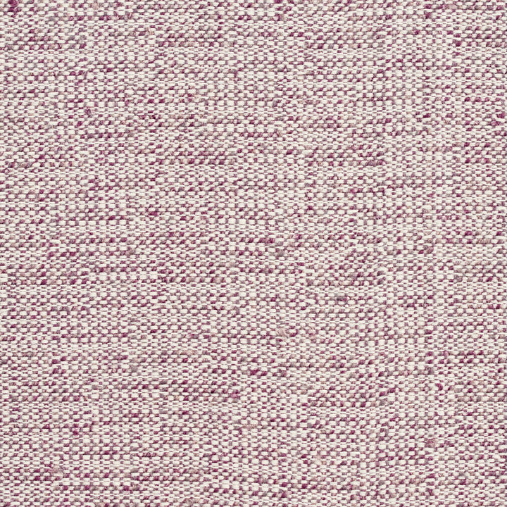 D348 Iris by Charlotte Designer Fabric Crypton Volume 2 54% Olefin, 46% Polyester Made In USA Exceeds 60,000 Wyzenbeek Rubs (Heavy Duty) No Repeat 54 Inches - Swanky Fabrics -