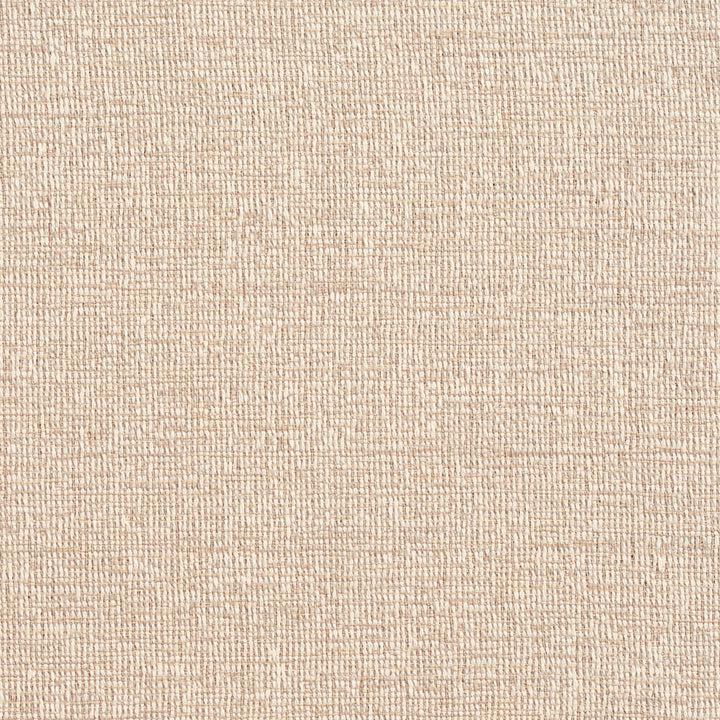 D351 Dove by Charlotte Designer Fabric Crypton Volume 2 60% Cotton, 40% Polyester Made In USA Exceeds 66,000 Wyzenbeek Rubs (Heavy Duty) No Repeat 54 Inches - Swanky Fabrics -