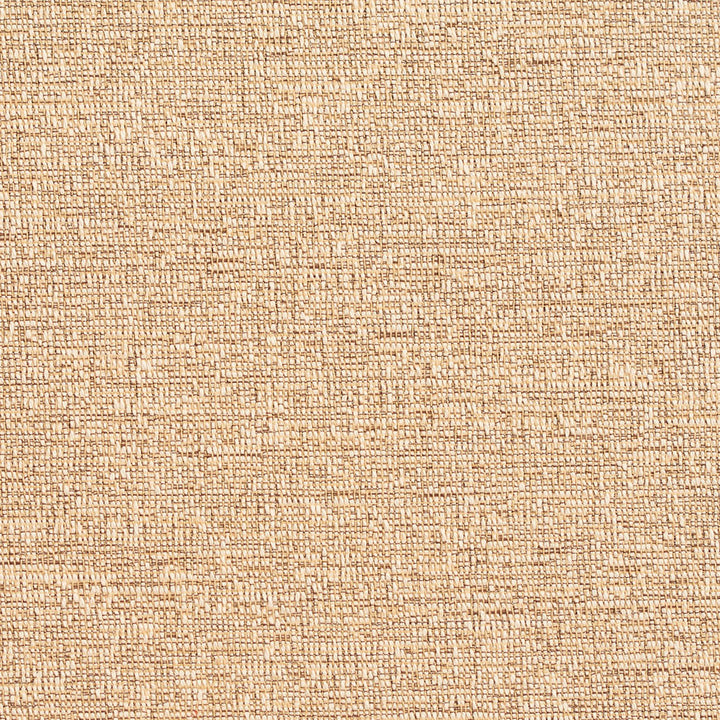 D353 Fawn by Charlotte Designer Fabric Crypton Volume 2 60% Cotton, 40% Polyester Made In USA Exceeds 66,000 Wyzenbeek Rubs (Heavy Duty) No Repeat 54 Inches - Swanky Fabrics -
