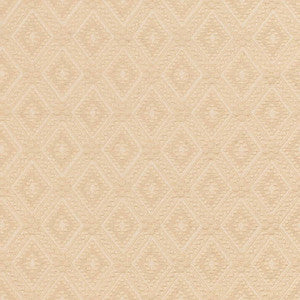 D3560 by Charlotte Designer Fabric