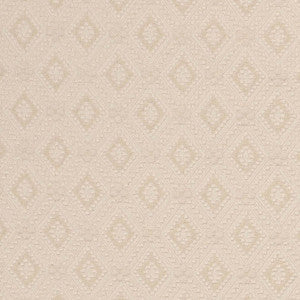 D3562 by Charlotte Designer Fabric