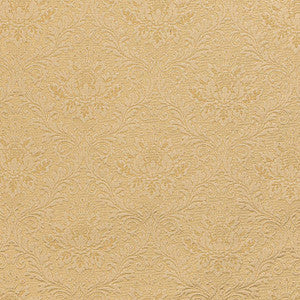 D3564 by Charlotte Designer Fabric