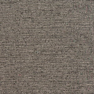 D356 Charcoal by Charlotte Designer Fabric