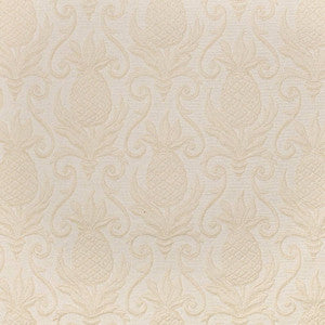 D3576 by Charlotte Designer Fabric