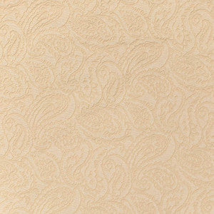 D3580 by Charlotte Designer Fabric