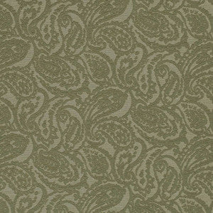 D3584 by Charlotte Designer Fabric
