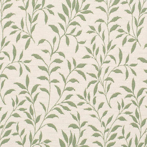 D3586 by Charlotte Designer Fabric