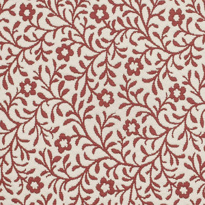 D3595 by Charlotte Designer Fabric