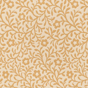 D3598 by Charlotte Designer Fabric