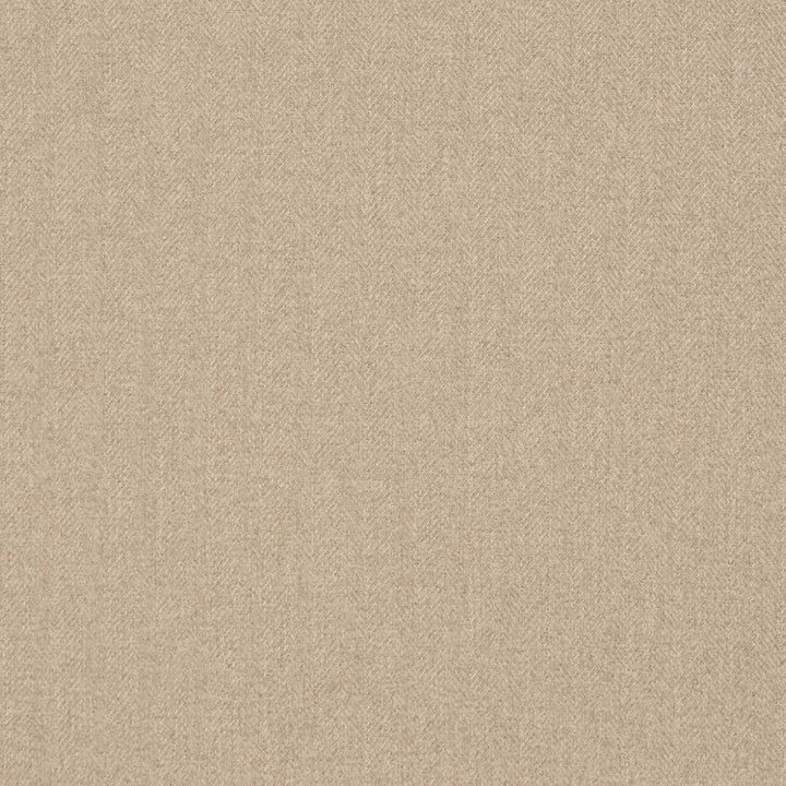 D3610 by Charlotte Designer Fabric Mid Century Modern 100% Polyester Asia Exceeds 200,000 Wyzenbeek Rubs (Heavy Duty) Horizontal .75" 54 Inches - Swanky Fabrics -